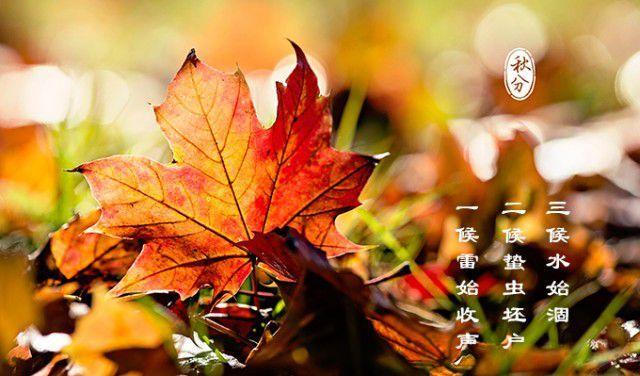 秋分吃什么傳統食物？8種傳統食物不要錯過