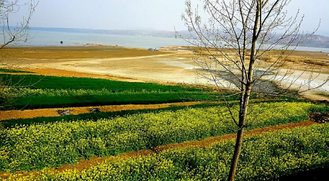 春天怎么養生排毒_春季養生排毒話術_春季養生排毒的重要性