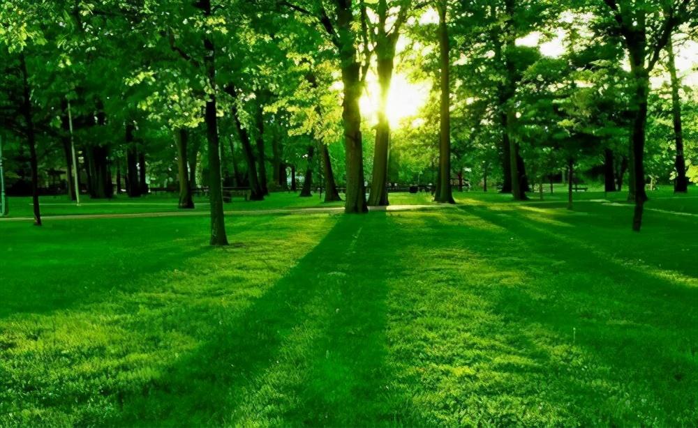 春季養生排毒話術_春天怎么養生排毒_春季養生排毒的重要性