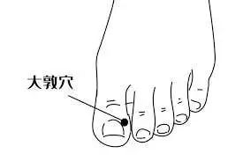 春季養生方法有哪些_春季養生的方式_春季養生有哪些方法