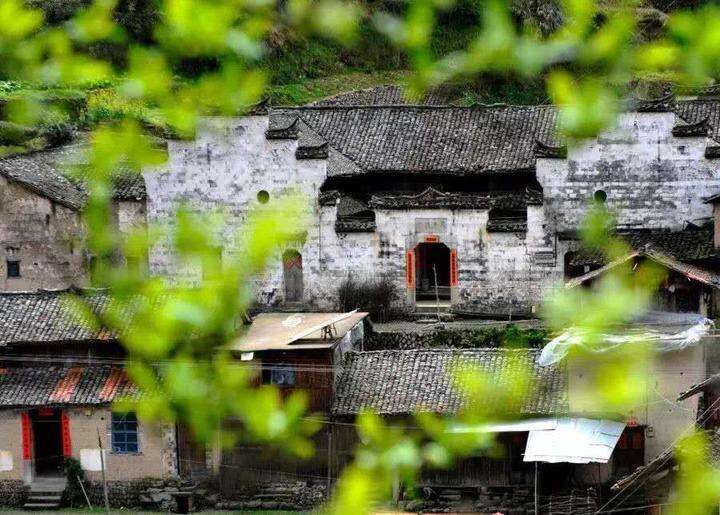 拂塵養(yǎng)生 文史記憶︱無“疫”，此心安處是武義