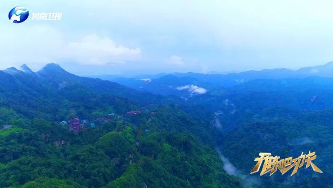 武當道長親授的養生功法，能醫哪些病癥？